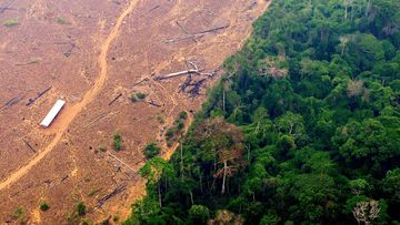 **This image is for use with this specific article only** The Amazon has survived changes in the climate for 65 million years. Now it&#x27;s heading for collapse, a study says