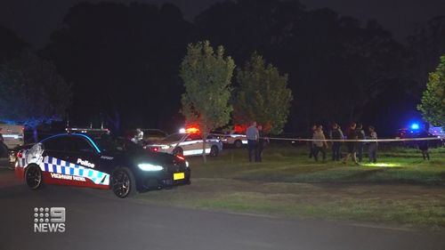 A man was fatally stabbed in the neck while others were injured during a violent brawl in western Sydney overnight.