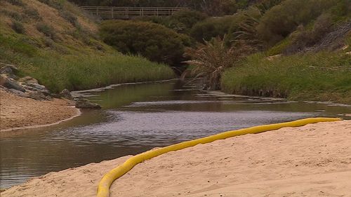 The sludge has been contained to a creek and authorities are confident little or none of it has seeped into the popular swimming spot.