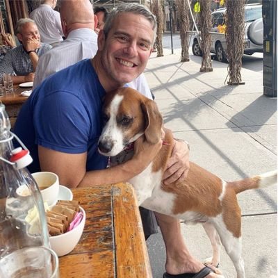 Andy Cohen with his dog Wacha