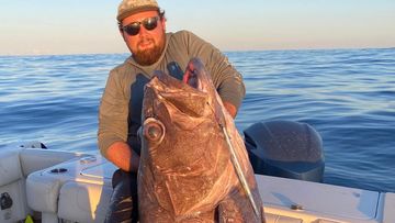 A Brisbane fisherman has had the catch of a lifetime over the weekend, catching a giant 175cm-long bass grouper just 40km off Point Lookout on North Stradbroke Island.