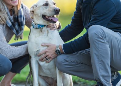 Couple at dog park