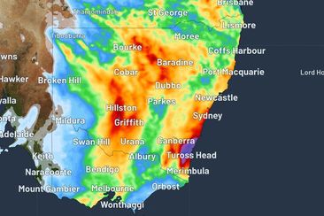 NSW rain