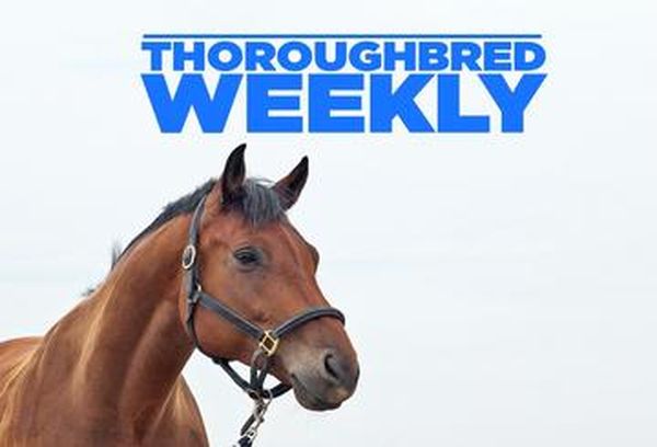 Thoroughbred Weekly