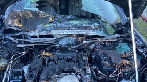 The car which caught fire in NSW had a rats nest inside.