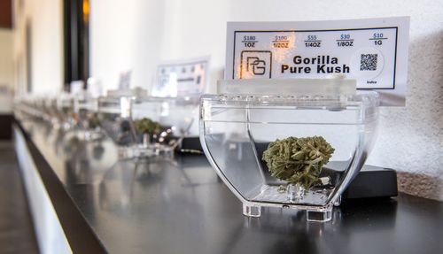 Gorilla Pure Kush is just one of the many varieties of marijuana for sale at the Santa Ysabel Smoke Shop and Dispensary