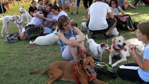 There are more than 60 dog parks in the city. (AFP)