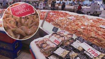 Sydney Fish Markets Christmas seafood marathon