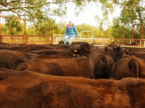 Di and John Hall's NSW property before the drought.