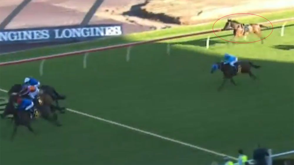 Gr 1 Sydney Cup abandoned after race fall