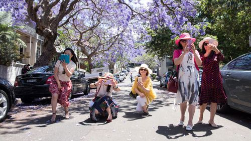 Local and international visitors photograph with their smart phones on McDougall Street in the north Sydney suburb of Kirribilli. (Getty)