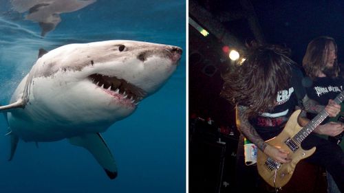 Great white sharks love death metal, documentary crew finds