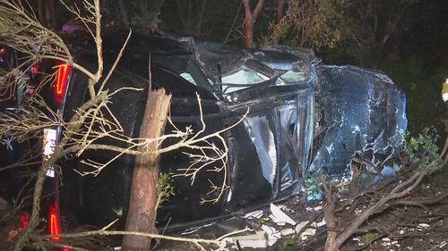 A﻿ luxury car has ploughed through a concrete wall and left a scene of destruction in Sydney's Norwest.