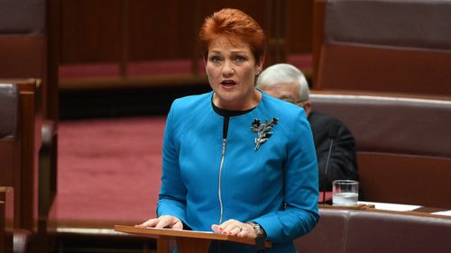 One Nation Leader Pauline Hanson. (AAP)