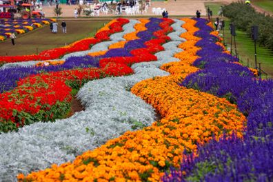 Kabloom Flower Festival