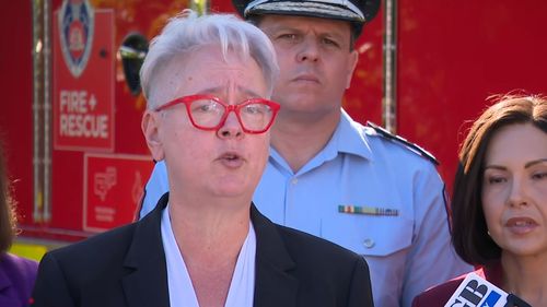 NSW Energy Minister Penny Sharpe