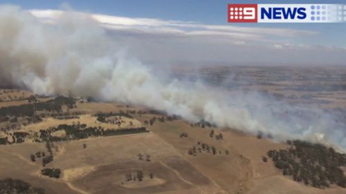 The fire broke out in a paddock near Angaston just after 11.30am (ACST). (9NEWS)