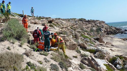 'Wonder dog' saves woman after she fell along South Australia cliff