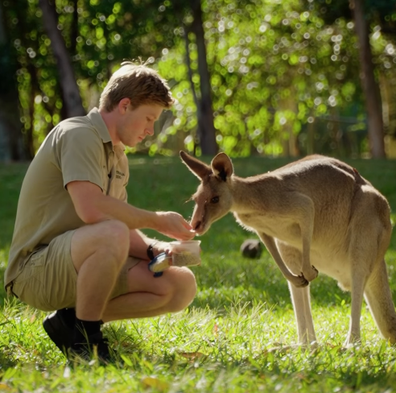 Robert Irwin and Royal Family Joey 