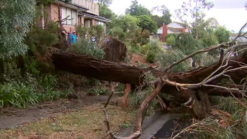 The Bureau of Meteorology warns possible evening thunderstorms may become severe. (9NEWS)