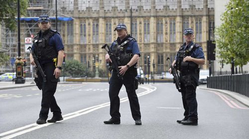The area around the UK Houses of Parliament in London was locked down after the crash and armed police remained on the scene for some time.