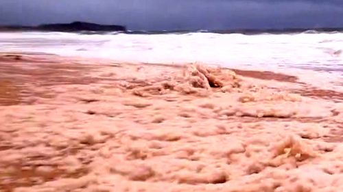 Collaroy Beach Sydney Northern Beaches NSW floods sea foam