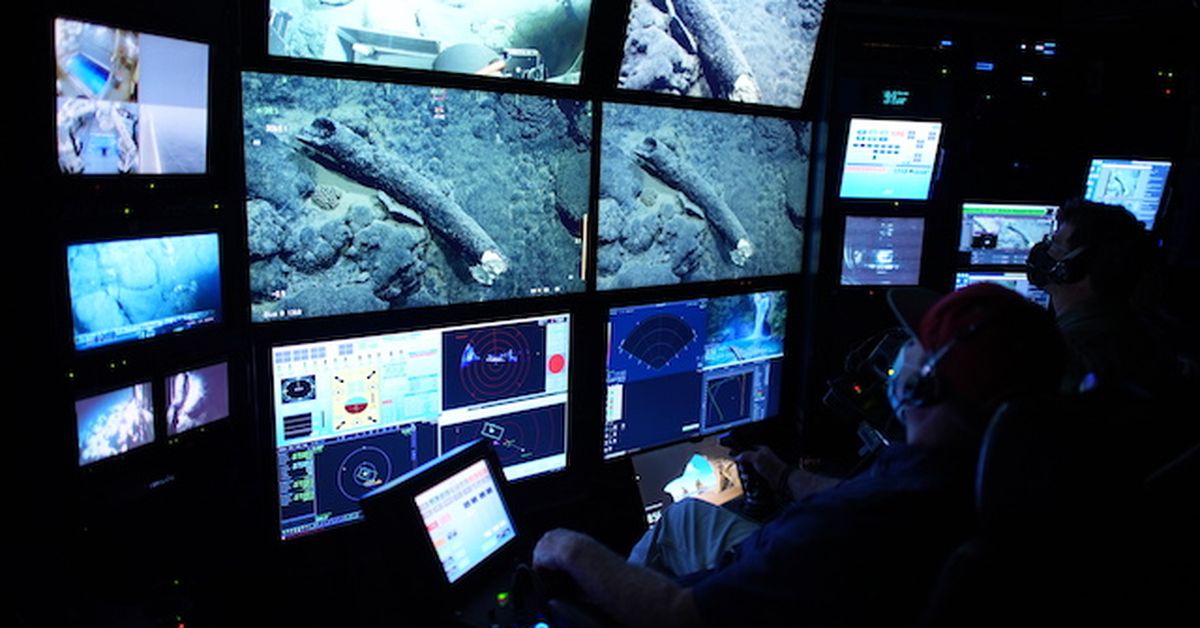 Mammoth tusk recovered from an unlikely place: the bottom of the ocean - 9News