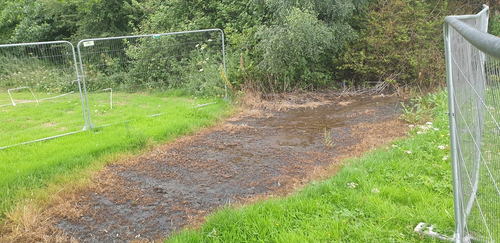 'Mystery' puddle keeps growing despite sunshine and no rain, councillor says it's not pineapple juice