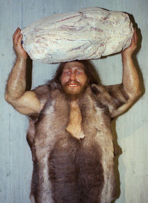 A replica of a Neanderthal man