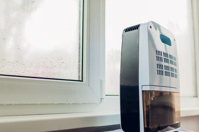 Dehumidifier on the windowsill