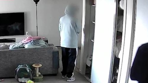 A couple's cat camera has captured two thieves ransacking their home in Queensland.