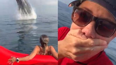Whale Breaching Rio de Janeiro