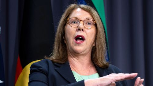 Catherine King during a press conference at Parliament House