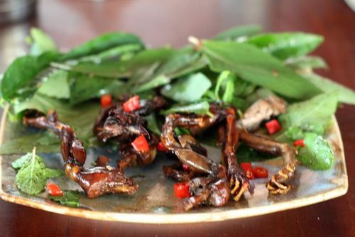 GULP NT have published a recipe for toad leg stir-fry. (GULP)