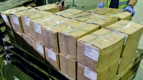 Thousands of boxes containing fruit pulp were seized by the Australian Border Force.