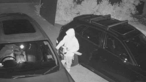 Retail theft, motor vehicle theft and theft from a motor vehicle are the key drivers of crime, according to the data.ï»¿