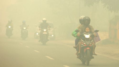 Indonesian president forced to cut US trip short over haze crisis