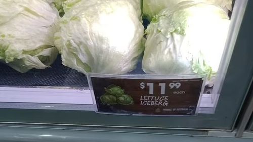 Lettuce