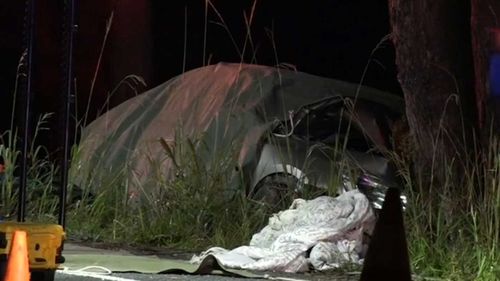 Three people were killed when the car came off the road near Ulladulla.