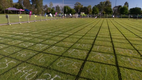 Winners of a charity raffle have been decided by cow poo at a park in Blacktown.