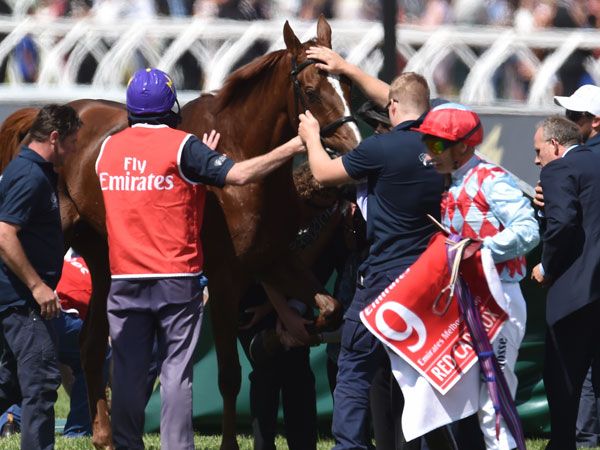 Red Cadeaux retired as awaits surgery