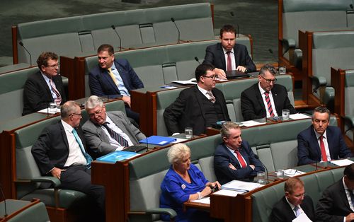 The National Party benches in parliament (AAP)