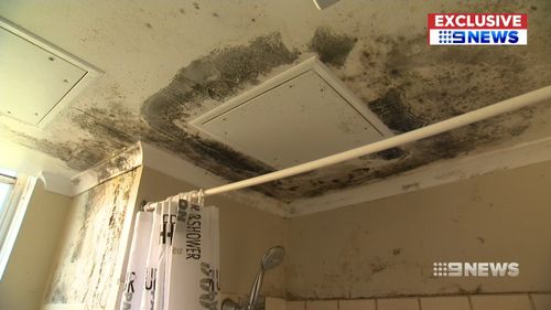 Families in a Sydney public housing building are being made sick from a mould infestation in their homes.