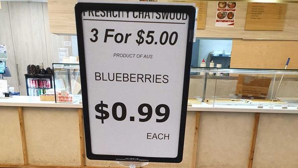 Blueberries fruit shop special