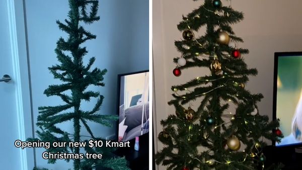 Kmart shopper transforms her 10-year-old Christmas tree using $5