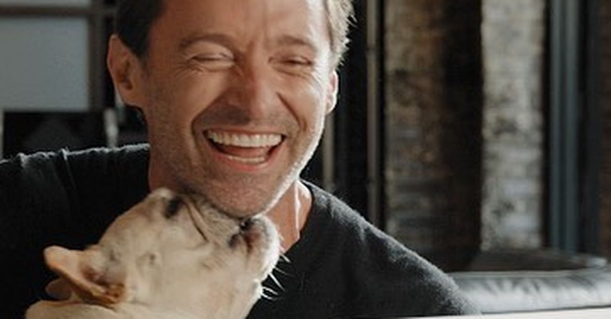 Hugh Jackman announces death of beloved French Bulldog Dali 9Celebrity