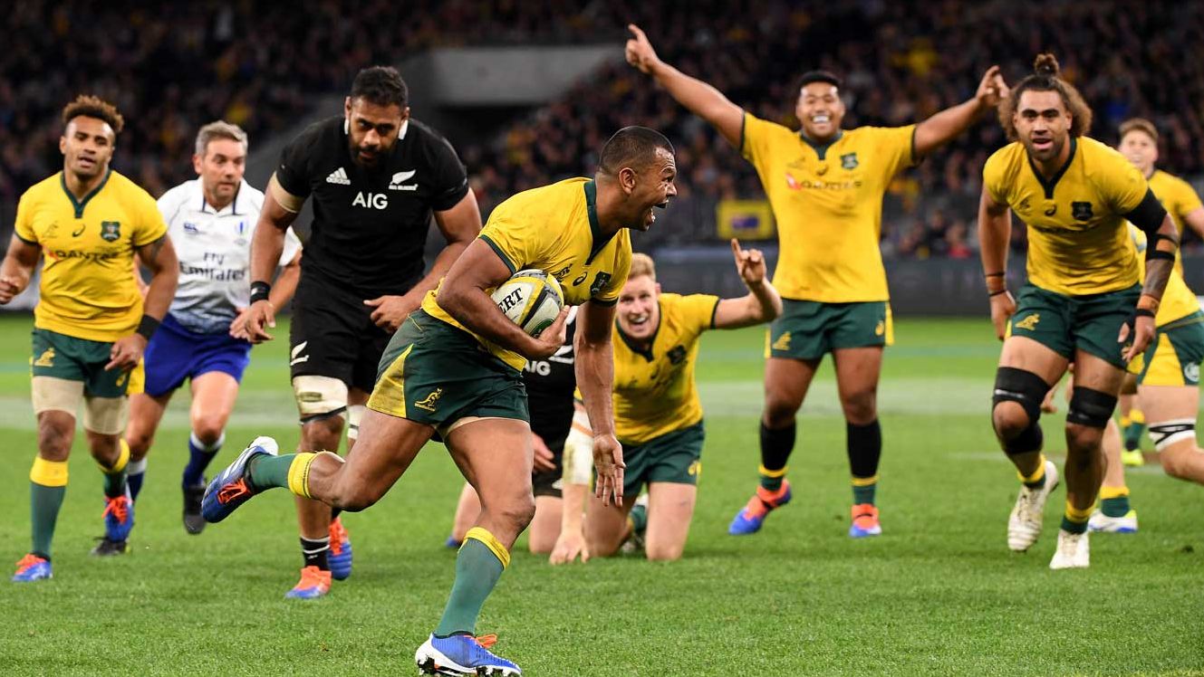 Rugby Championship to be hosted in Australia as New Zealand misses out