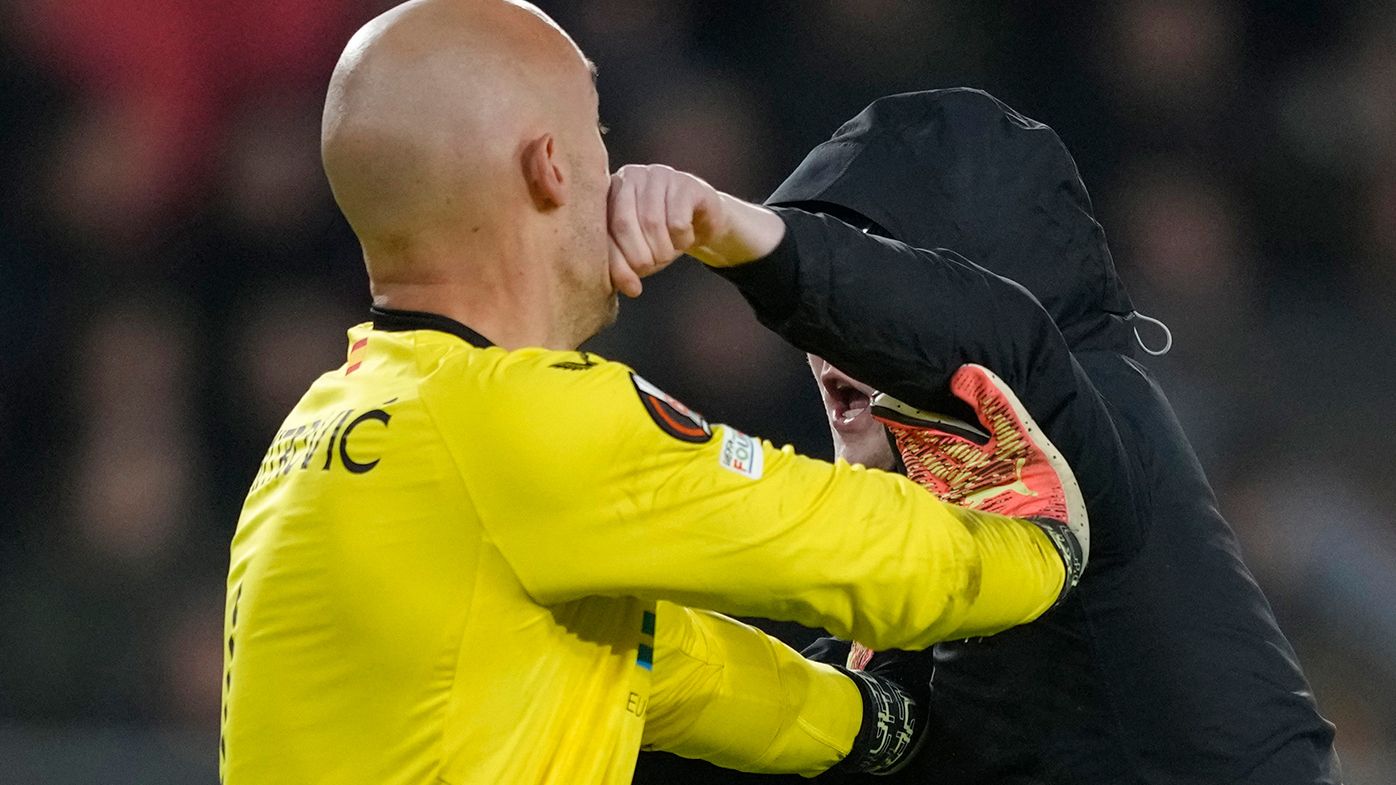 A PSV supporter punches Sevilla&#x27;s goalkeeper Marko Dmitrovic in the face.