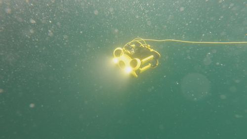 They're underwater ROVs or drones that can double as a dive buddy, capturing crucial information about marine life and carrying out vital inspections on pipes, hulls and water tanks.