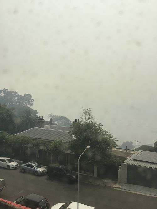 This is the view of Double Bay from a Darling Point local's balcony.